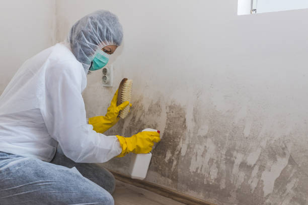 Rutgers University Livingston Campus, NJ Mold Removal Company